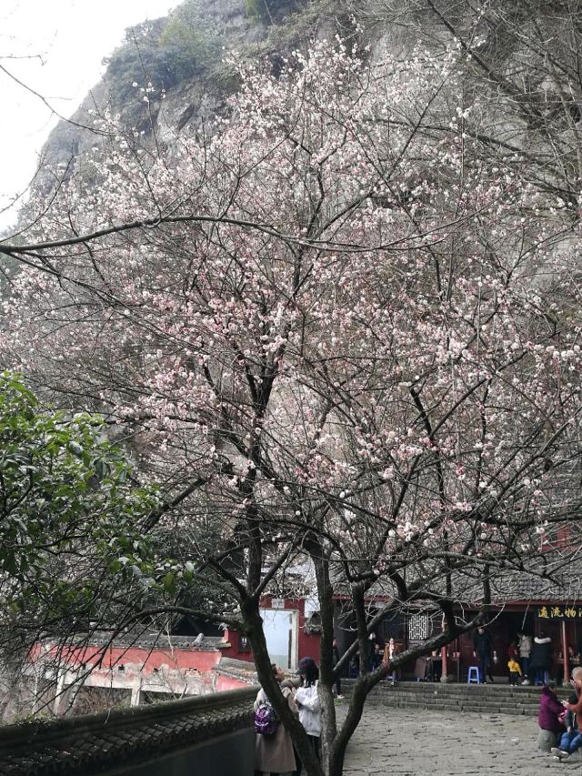다츠옌 풍경구