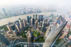 上海环球金融中心-上海-doris圈圈