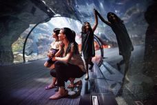 迪拜水族馆和水下动物园-迪拜-doris圈圈