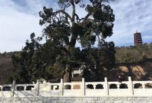 大苏山国家森林公园-净居寺景点图片