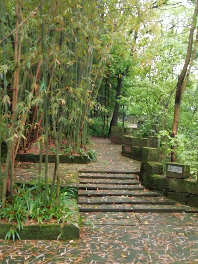 Shenlong Mountain Ba People's Castle