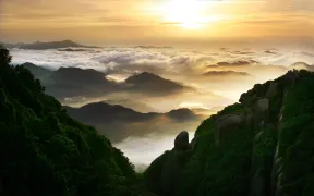 4-Day Fuding Tour: Home of White Tea, Natural Scenery of Dayushan Island