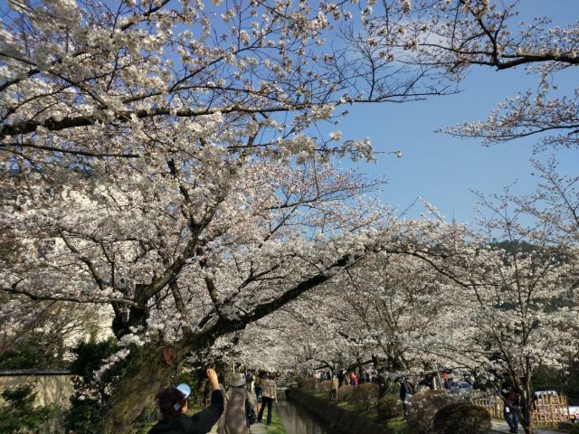 Philosopher's Walk