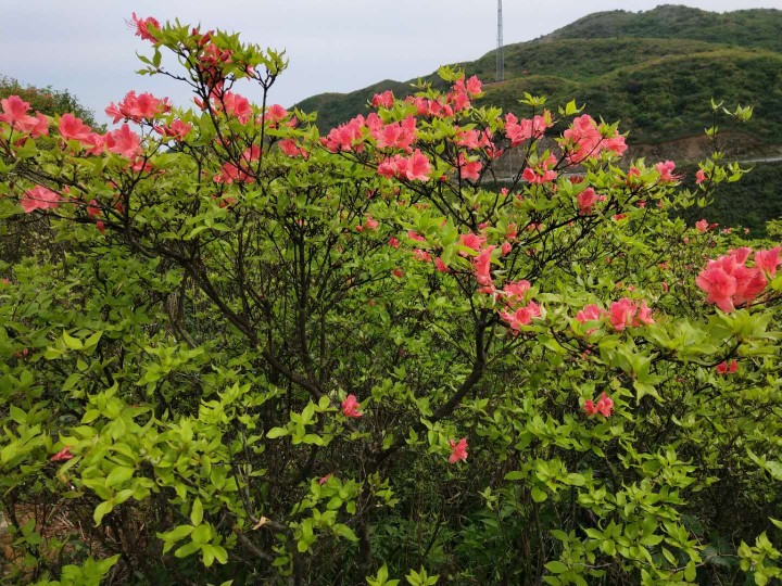 浏阳七星岭