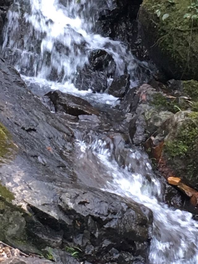 고로산
