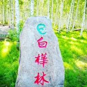 图片 2