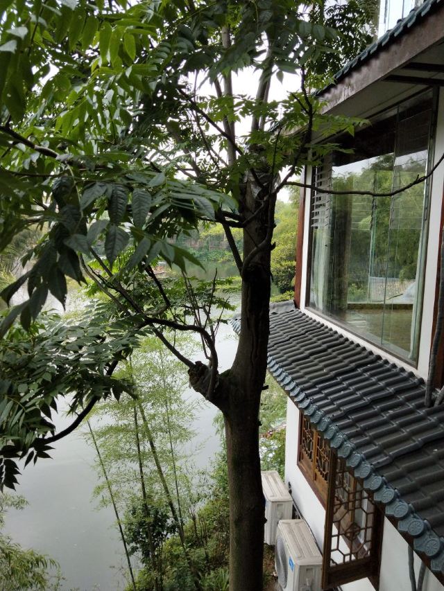 Shunan Zhuhai (“South Sichuan Bamboo Sea”) National Park