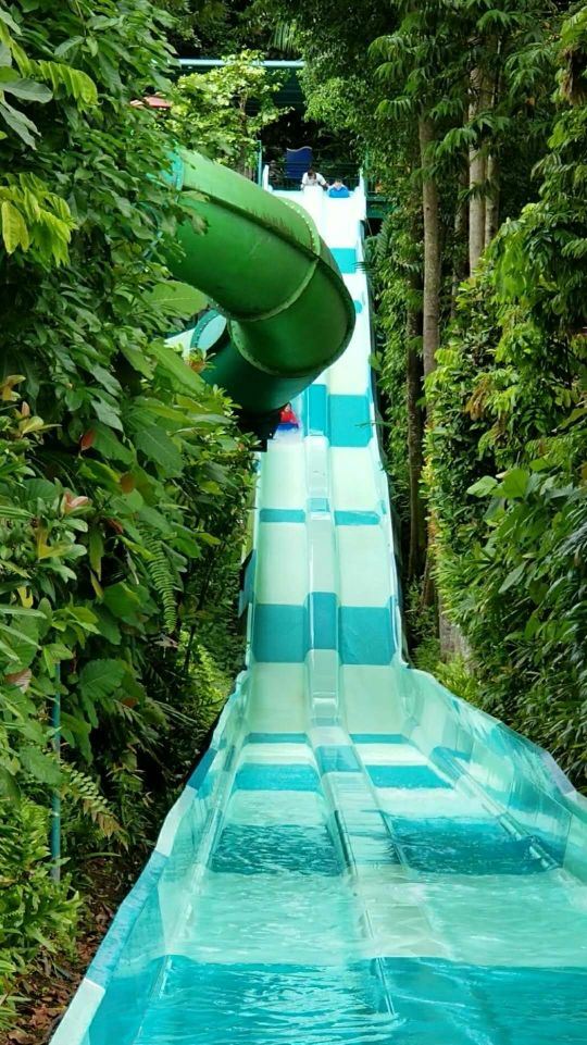 Adventure Cove Waterpark