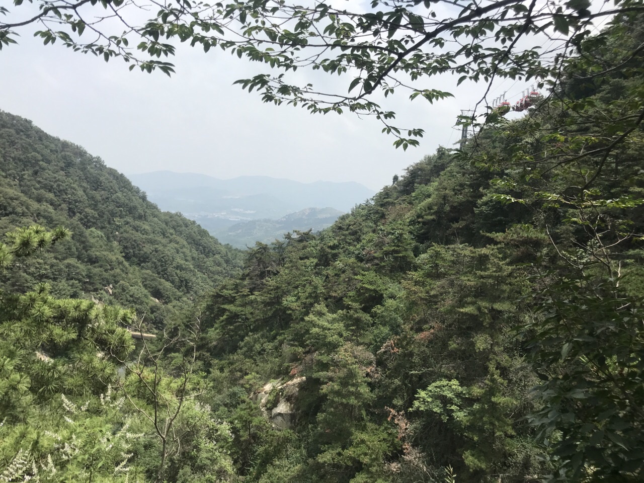 沂蒙山区