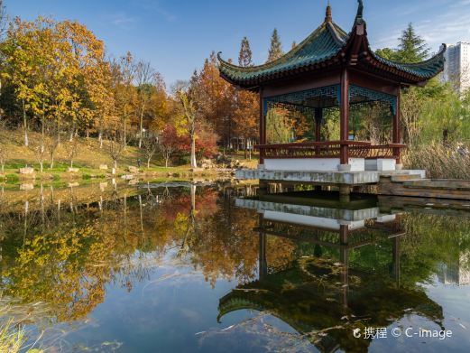 月湖风景区
