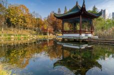 月湖风景区-武汉-尊敬的会员