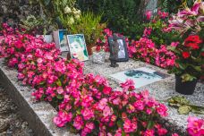 奥黛丽赫本之墓-特洛什纳-power_wing