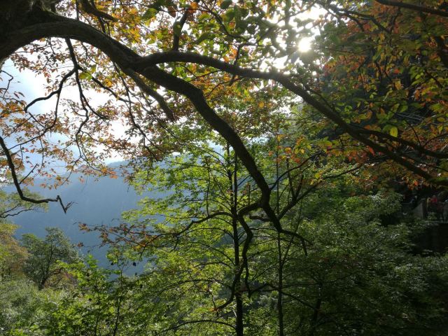 龍門飛渡索橋