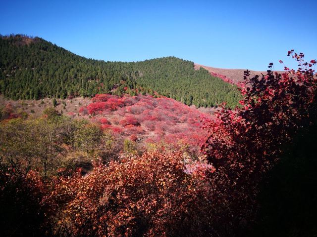 Guanhushan Scenic Area