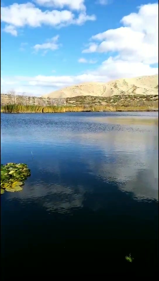 深秋的白沙湖