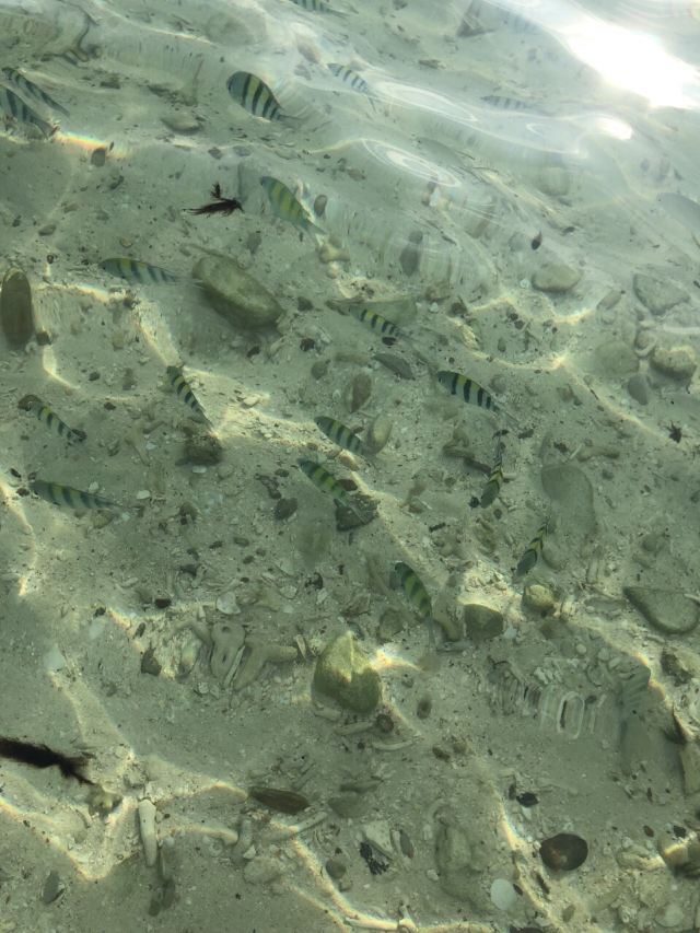 Koh Khai Nok
