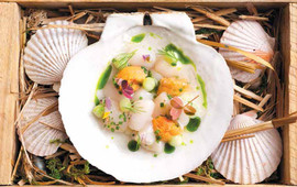 AQUAVIT
