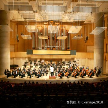 重庆+武隆区+天生三桥+乌江画廊+芙蓉洞+816工程景区6日5晚私家团