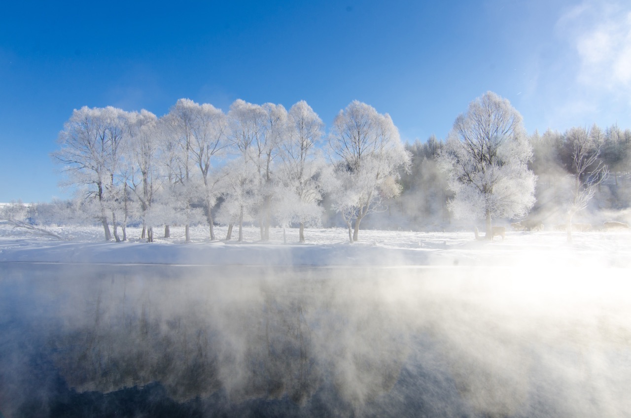 ＃最美冬季雪景＃冬季呼伦贝尔，依旧那么美