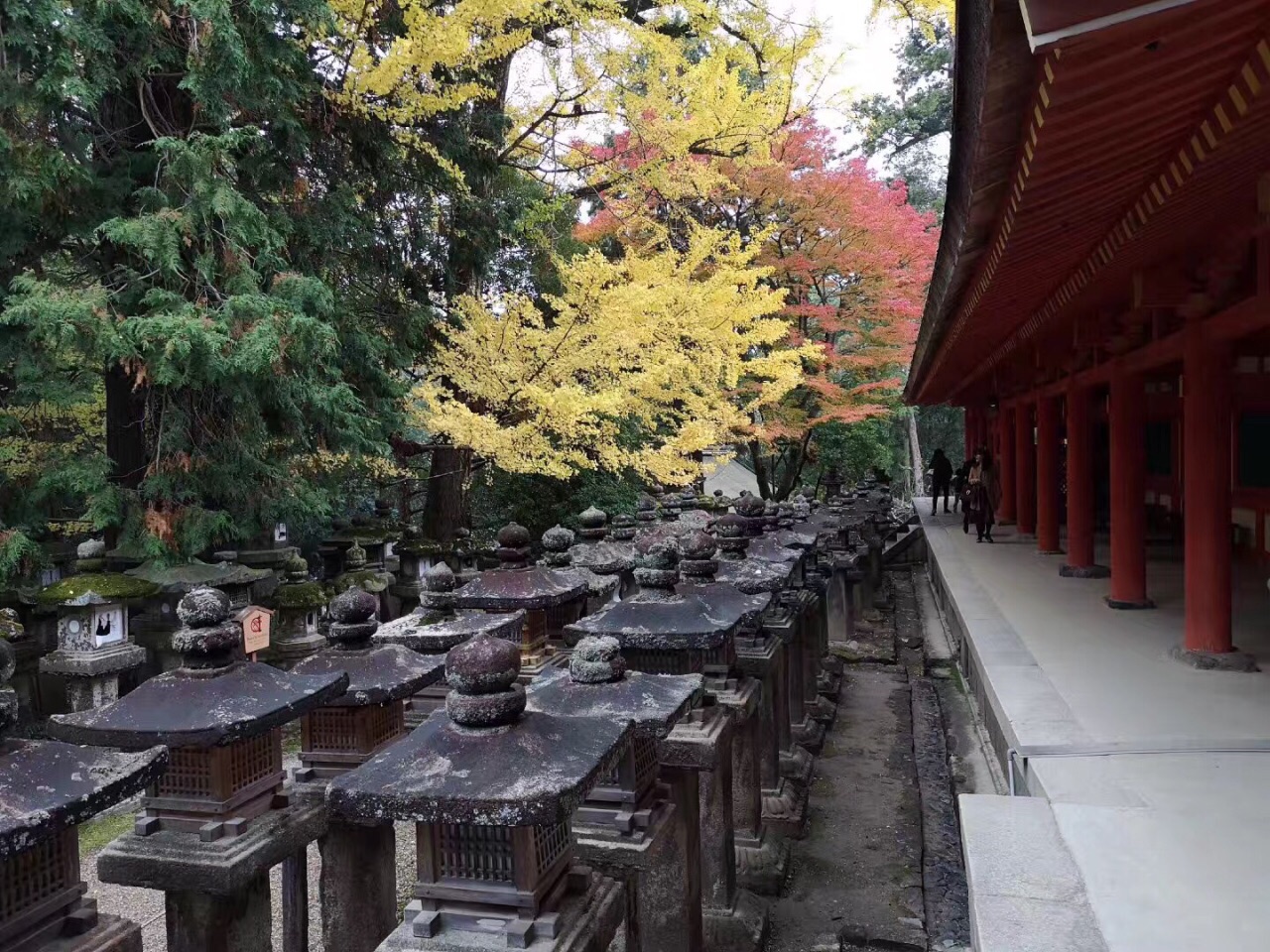 奈良，一座安静的日本小城。