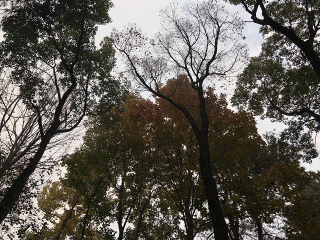남교공원