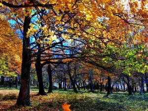 Pingshan Shenlu Tourist Area