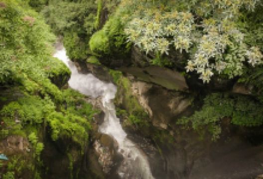 樟木口岸景点图片