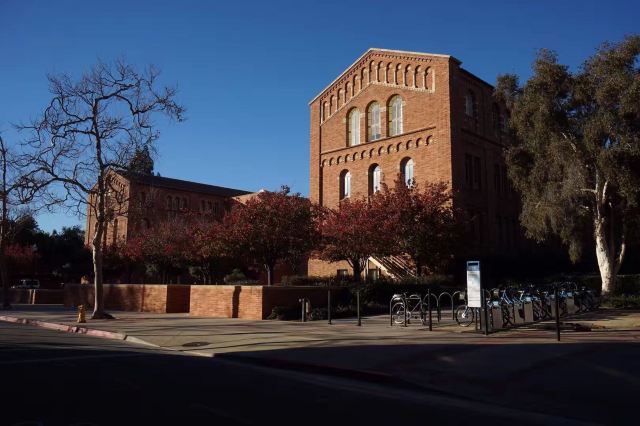 University of California, Los Angeles