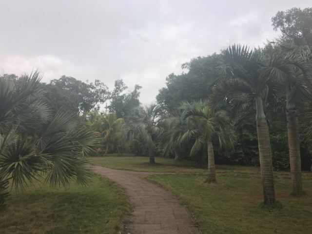 Jinniuling Park