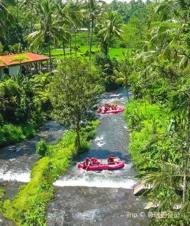 6D5N • Indonesia + Bali + "Private Holiday" 5-Diamond Villa + Beachfront Hotel | Penida + Dolphin + Snorkeling | Ubud Rice Terraces + Jimbaran + Kuta