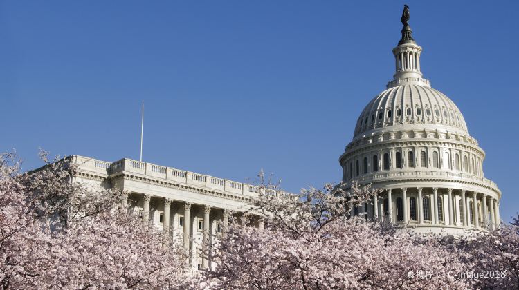 4-Day Tour from Washington D.C.·Philadelphia and New York | Airport Pick-Up