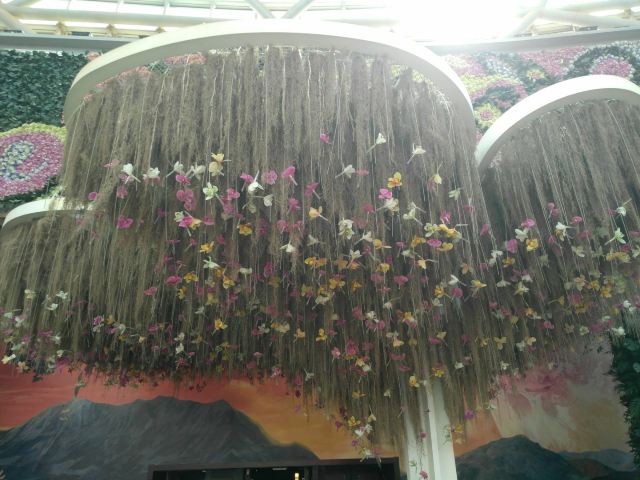 City of Flower