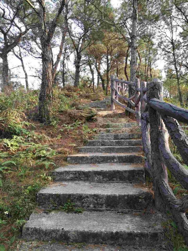 泰康山生态旅游区