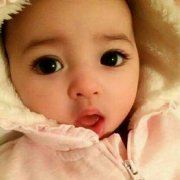 顺春苗木种植基地