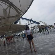 樱花猫的栗子坤