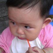 养肥鸭子过年吃