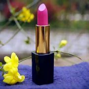 不吃肉的胖文子