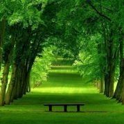 森屿麋鹿我与你