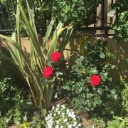 我也藏着小怪兽