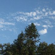 昨夜小楼听雨声