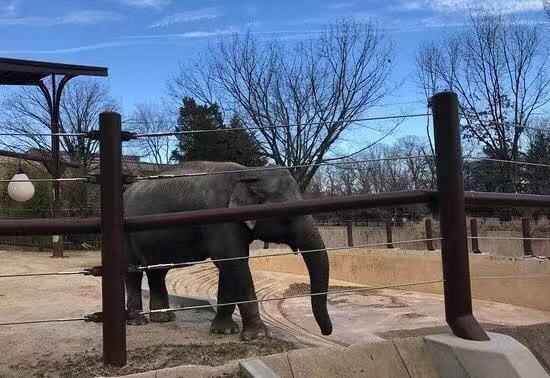 國家動物園
