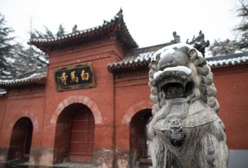 【洛阳出发】白马寺+龙门石窟+洛阳博物馆一日游【行程透明，当地散拼，经济实惠，无强制消费。】