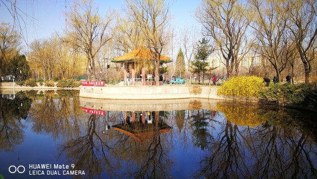 东坝公园旅行图片 2