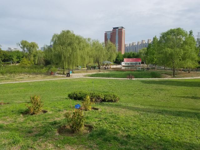 四得公园旅行图片 8