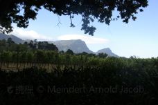 大康斯坦夏葡萄酒庄园-康斯坦提亚