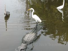 奥兰多顽童寻梦经典4日游