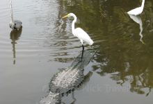 因弗内斯旅游图片-奥兰多顽童寻梦经典4日游