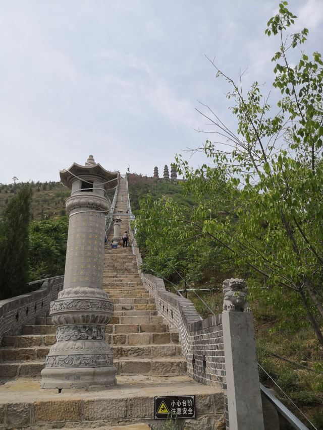凤凰山森林公园旅行图片 1