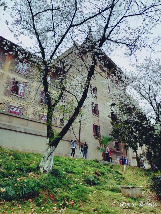 武汉大学信息学部-竹园旅行图片 2