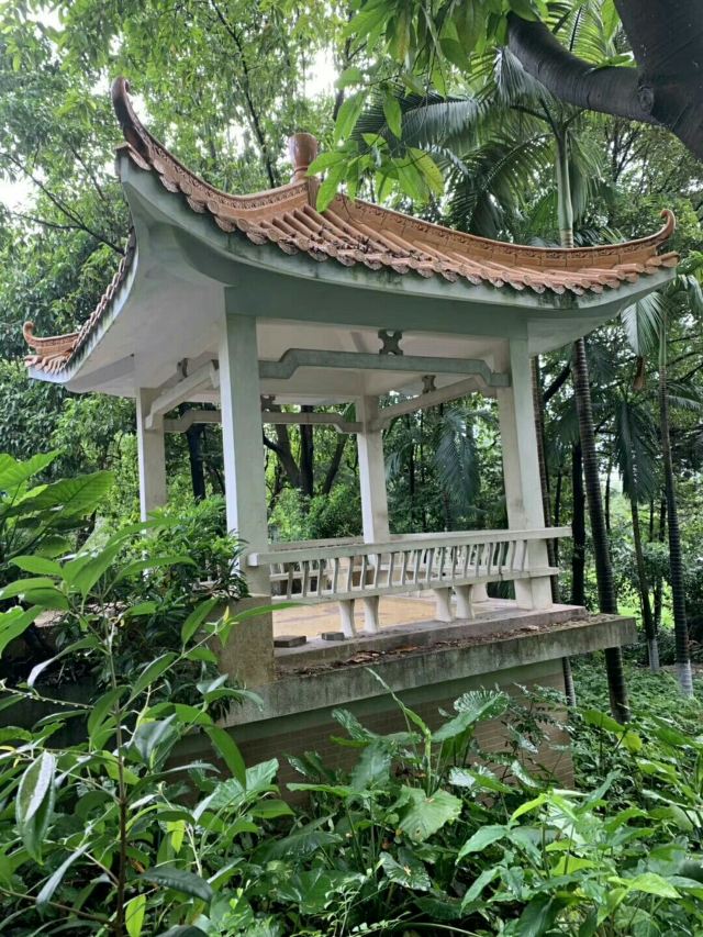 东莞人民公园旅行图片 6